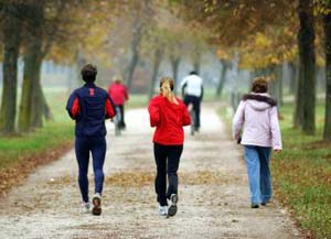 Effective Mental Wellness To Successful Lifestyle Effective Mental Wellness To Successful Lifestyle