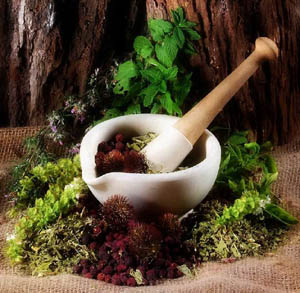 Try Herbal Life Health Nutrition