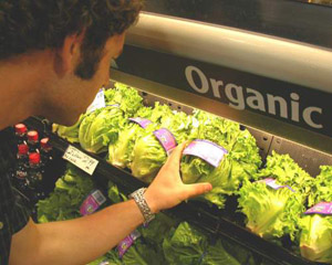 Health And Wellness Through Organic Products