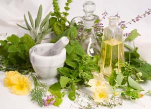 The Importance Of Health And Wellness Including The Proper Use Of Herbal Products